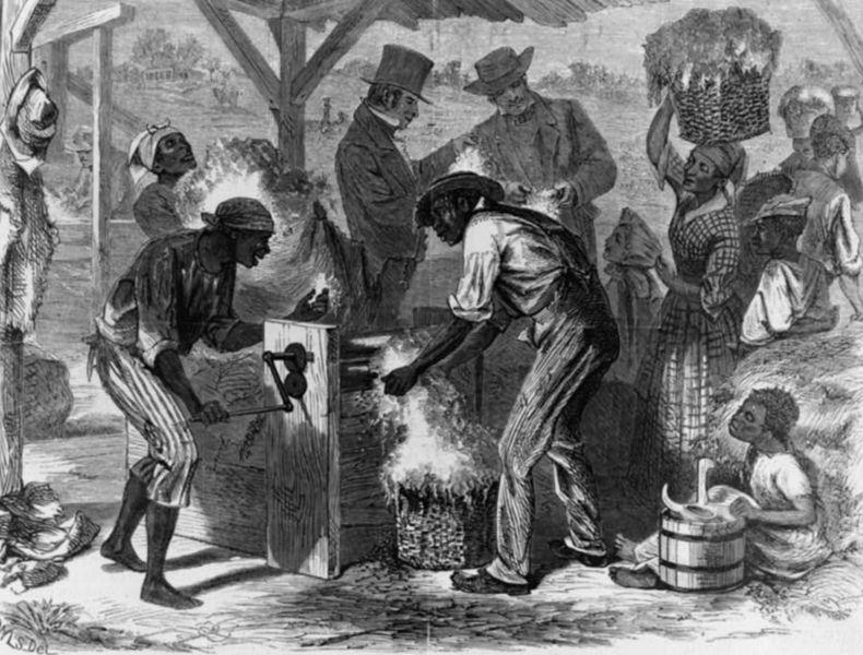Slavery in the South In 1793 with the invention of the cotton gin by Eli Whitney, the south saw an explosive growth in the cotton industry and this greatly increased demand for slave labor in the