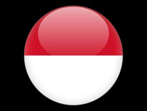 Indonesia have to