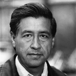 Latino Activism: o Chavez also enlisted a coalition of college students, churches, and civil rights groups