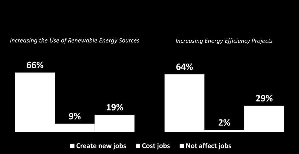 Michigan voters view policies to increase use of renewable energy and energy efficiency as a catalyst for new jobs and a way to reduce energy costs over time.