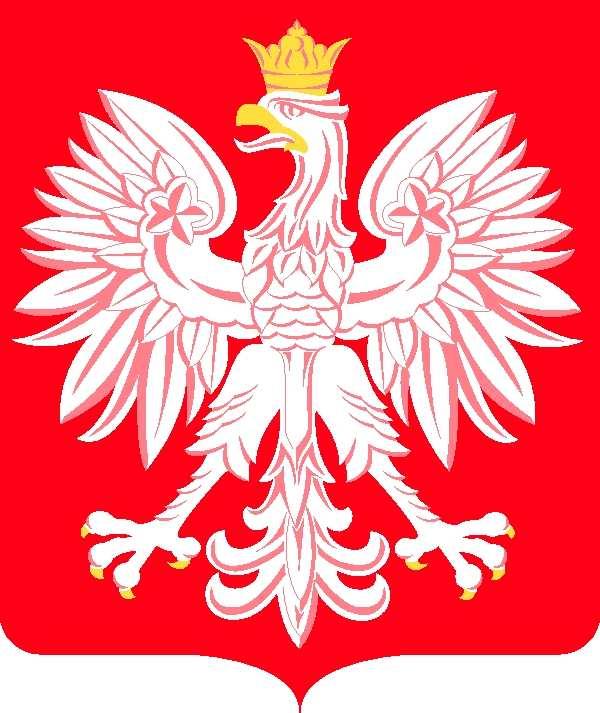 REPUBLIC OF POLAND PERMANENT MISSION TO THE UNITED NATIONS 750 THIRD AVENUE, NEW YORK, NY 10017 TEL. (212) 744-2506 Check against delivery STATEMENT BY MR.