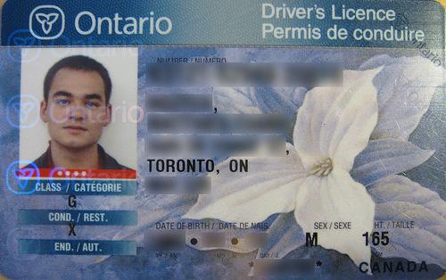 Canadian driver s license