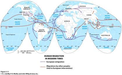 Slide 28 Global Migration Flows Global-scale migration Explorers Colonization Slide 29 Slide 30 Regional Migration Flows