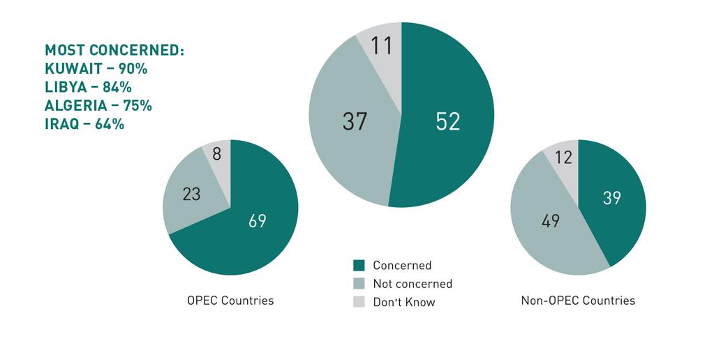 Most Arab youth are concerned about falling energy prices, with the level of concern