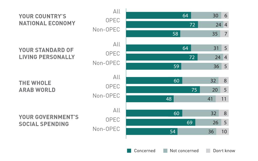Most young Arabs are concerned about a number of negative impacts the falling energy prices