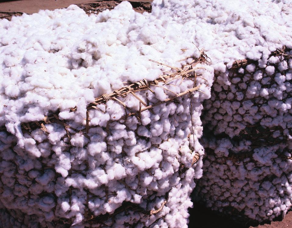 MARCH 2018 DISPUTE RESOLUTION Uzbekistan: Parties Agree to Dispute Resolution to Address a Complaint about Forced Labor in a Cotton Supply Chain A complaint to CAO was filed in 2016 on behalf of
