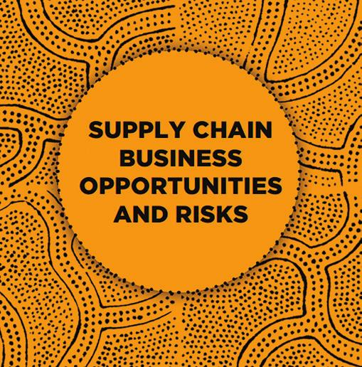 JUNE 2018 ADVISORY Advisory Work: Supply Chain Opportunities and Risks CAO s supply chain advisory memos are available at www.cao-ombudsman.