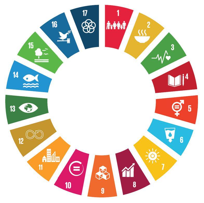 The Sustainable Development Goals UN Sustainable Development Goals The 17 Sustainable Development Goals (SDGs) are a global call for a sustainable future economically, environmentally and not least