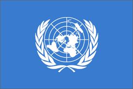 1. overview general instruments UN + regional human rights treaties +