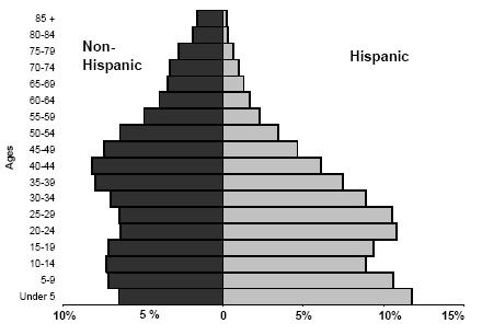 Hispanics in the Cincinnati Area >65,000 Hispanic/Latinos in Cincinnati region (8 counties).