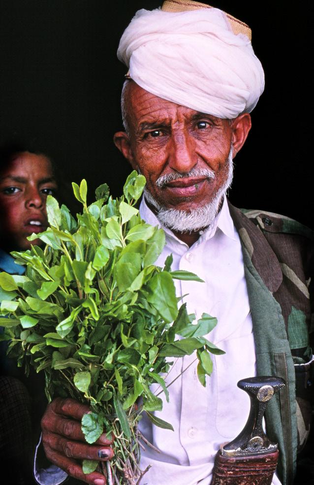 For some, qat farming is the perpetuum mobile of Yemen s rural economy and qat chewing an age-old social pursuit that has helped to preserve Yemeni identity in a rapidly changing world.