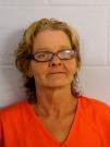 DENISE RAENELLE 54 64 MCMILLAN ST, 08/03/12 CHATTOOGA CO JAIL Chattooga County Sheriff's Hold for Another