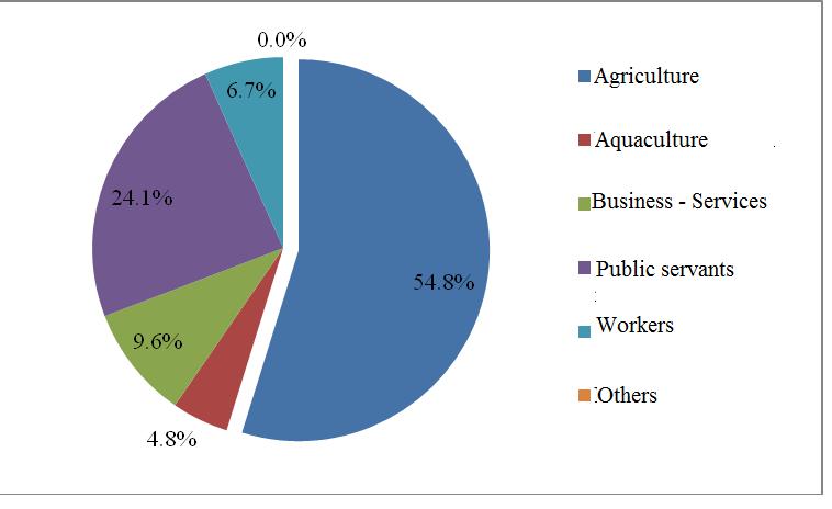 income come from small business and the husbands income come from unskilled labor or services (driving). Several households have from 3-4 income sources such as business, hired labor or pension.