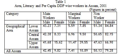Ogunrotifa Ayodeji Bayo, University of Edinburgh, UK in all categories of districts of Assam wherein women are engaged mainly as marginal workers.