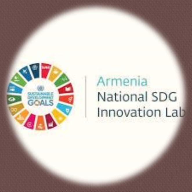WHAT WE DO We work to find meaningful ways to maximize SDG achievement in Armenia.