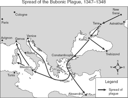 17 Use the map and your knowledge of social studies to answer the following question. Which conclusion about the spread of the bubonic plague to southern Europe can best be drawn from the map above?