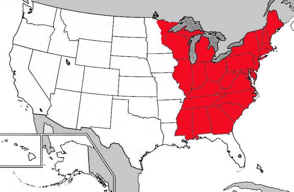 Land Belonging to the United States During the Federalist Period.