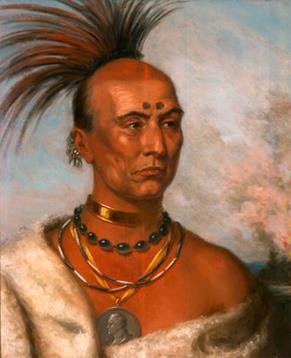 remaining Indians 3,000 of 14,000 died en route Black Hawk War (1832) Sauk and Fox fought in Wisconsin and Illinois Black Hawk, Whirling Thunder defeated by Lt.