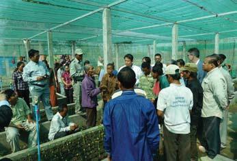 Phnom Penh; Promoting seedings to farmers at a plant nursery