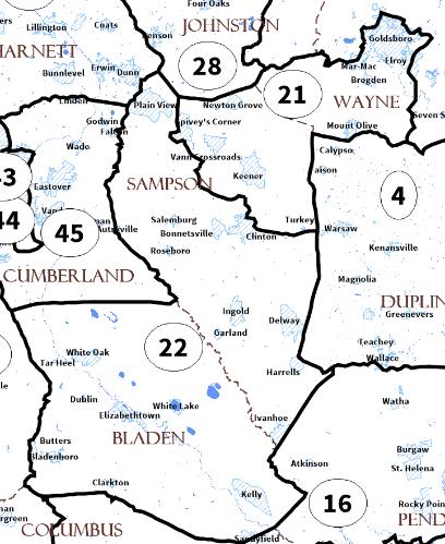 Wayne Counties 2011 Plan 2017