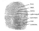 Finger Scan Issues/Obstacles Intrusion perception