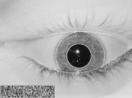 Iris Recognition Features/Benefits Highest accuracy (1:N) Constant throughout adulthood No physical damage (picture not scan) Requires cooperation Iris sampling offers more reference coordinates than