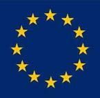 Having a say on decisions in Europe The European Union (EU) The European Union is a group of 27 European countries that work together on issues like trade, jobs, immigration, criminal justice and