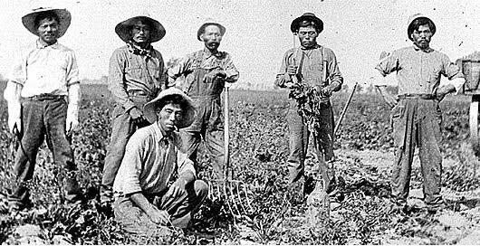 UNION MOVEMENTS DIVERGE OTHER LABOR ACTIVISM IN THE WEST Japanese, Mexicans form Sugar Beet and