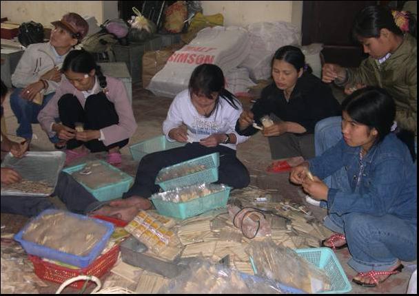 Pilot Toothpick Manufacturing Program for 18 People In addition to handicraft manufacturing, Nuiphaovica also developed a pilot program for toothpick manufacturing.