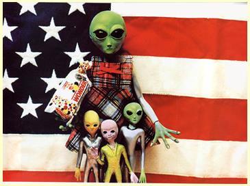 Legal Aliens There are two categories of legal aliens. A resident alien is a legal immigrant who permanently lives in the United States and can stay as long as they wish.