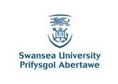 Fee Assessment Questionnaire Please complete the following form to help us assess your fee status. It should be returned to studentfinance@swansea.ac.