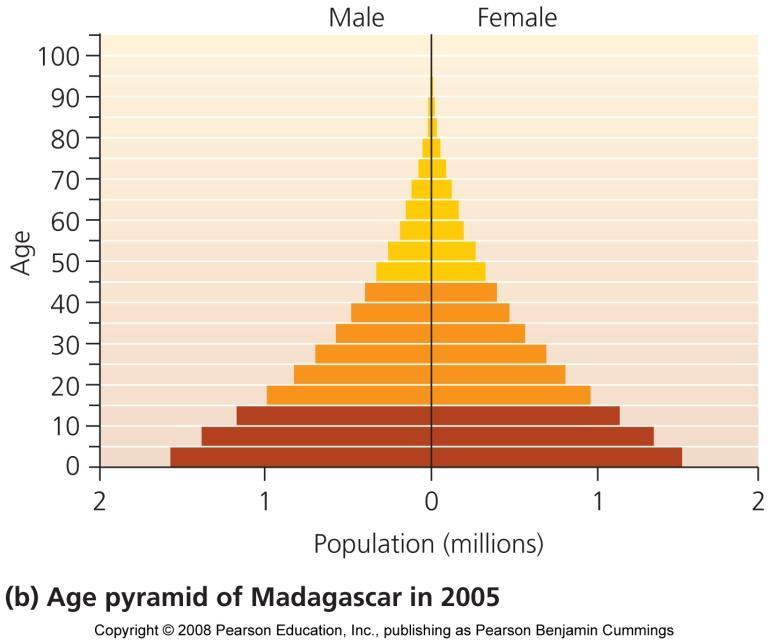 Age structure affects future population size