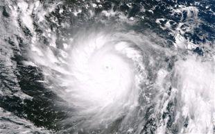 Other Major Storms Thelma (1991): 5,100 dead Bopha (2012): 1,000 dead Katrina (2007): 1,800 dead, $125
