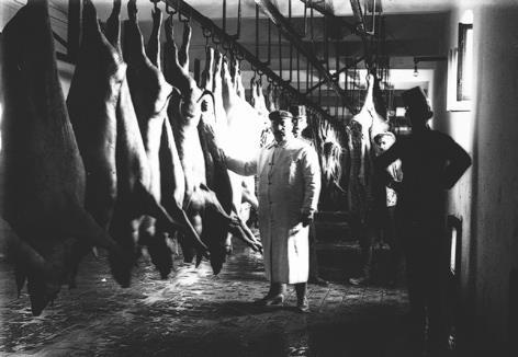Government passed the Meat Inspection Act law