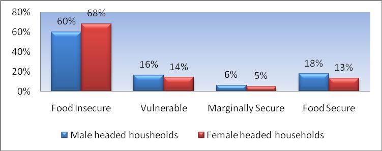 Food insecurity among female headed households is 8 percent higher than male headed households (60 percent versus 68 percent).