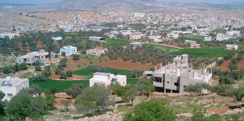 Green Houses 1% Fie ld C rops 42% Fruit Trees 50% Vegetables 7% Based on the survey conducted by ARIJ, Tammun village produces 5 tons of olives, 3,500 tons of vegetables and 2,500 tons of field crops