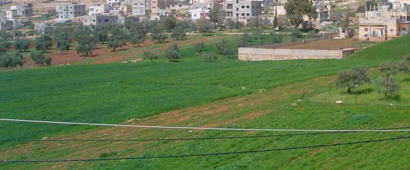 Agriculture fields in Tammun village Impact of Occupation Practices The total area confiscated and under siege in Tammun is estimated to be 33,000 dunums, Two Israeli settlements have been built on