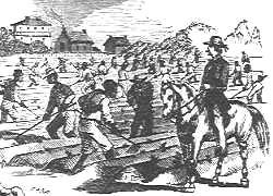 Freedmen would pay for the land they farmed by giving the landowner a percentage of their. In addition, freedmen would seed, tools, and other supplies from the landowner.