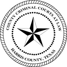 OFFICE OF COURT MANAGEMENT HARRIS COUNTY CRIMINAL COURTS AT LAW DWI Study for the Harris County Criminal Courts at Law Recidivism Profiles of First-Time DWI Defendants Case Filed in 2004 Data