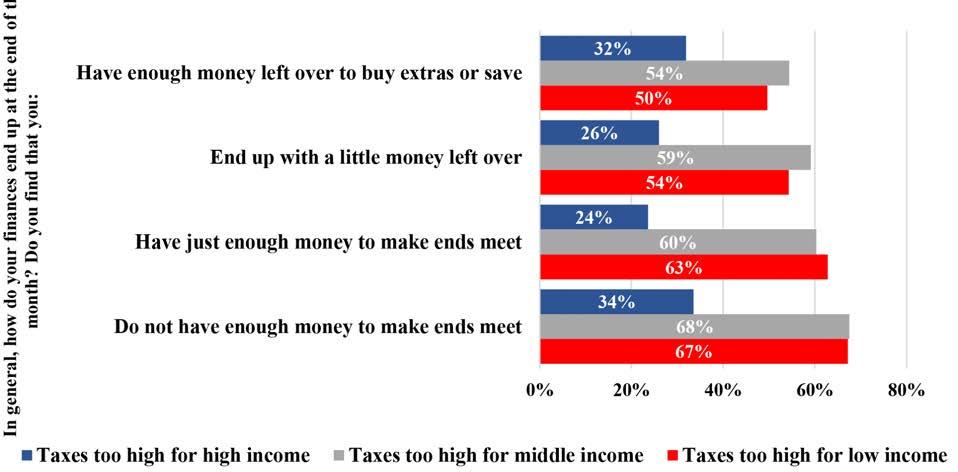 LIBERTY: THE PURSUIT OF FREEDOM Belief that Taxes are Too High by Monthly Finances % who think taxes are too high on high, middle, and low income earners Along