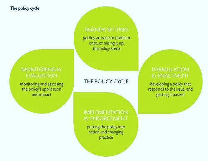 6 What factors & actors influence the policy process or policy cycle?