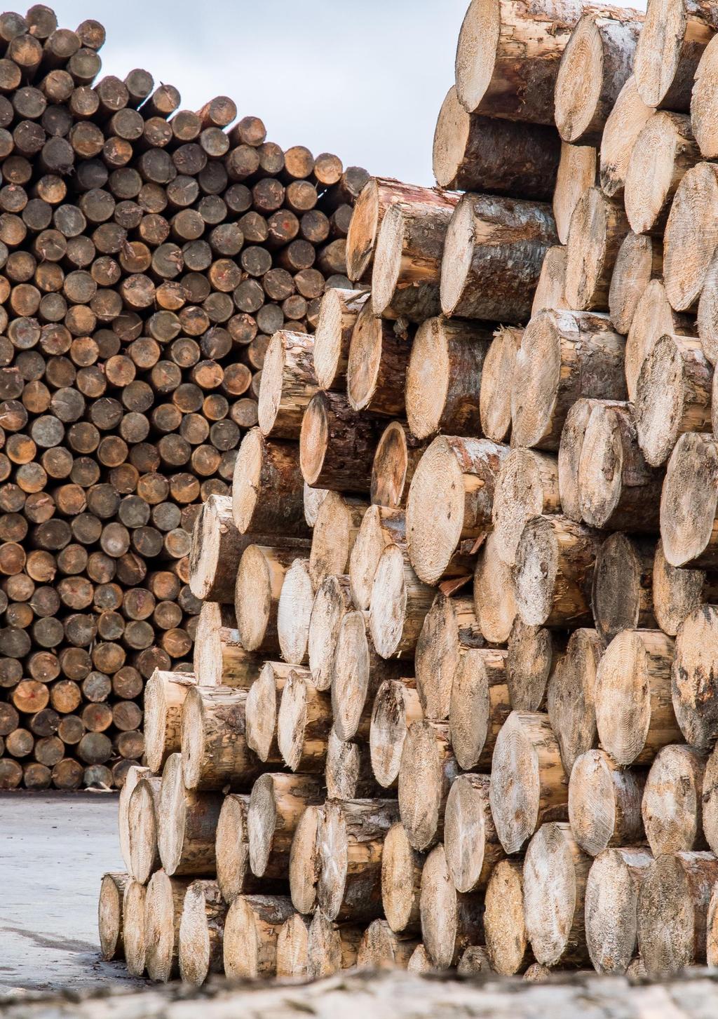 Overview of Competent Authority EU Timber