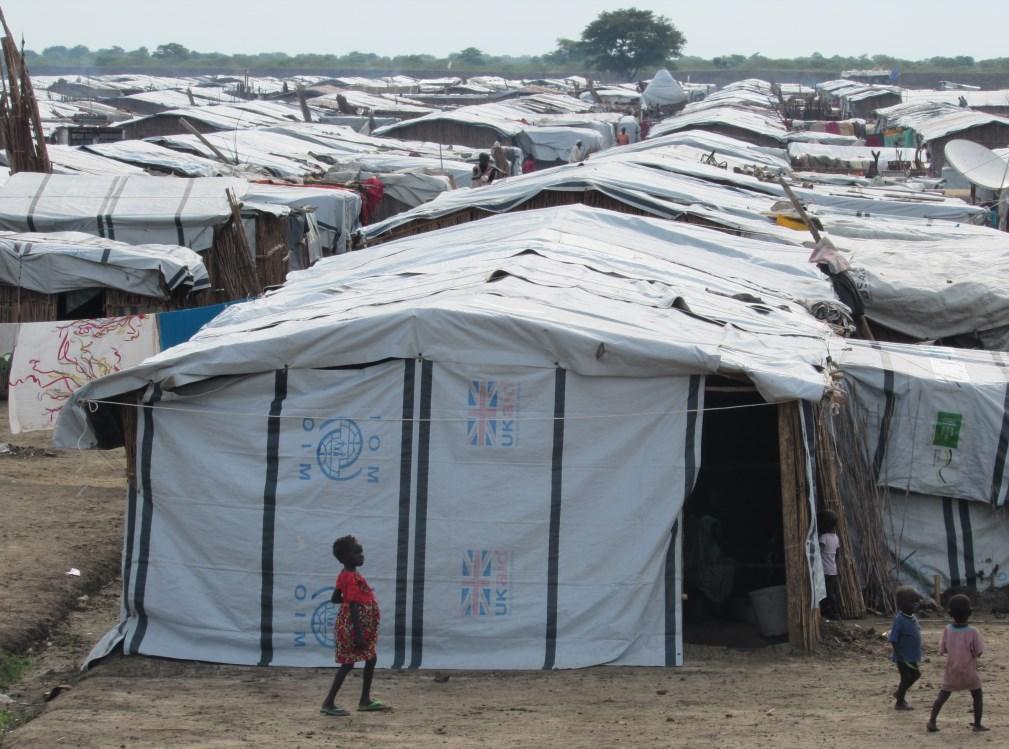 SHELTER AND NON-FOOD ITEMS (NFI) As co-lead of the Shelter and NFI Cluster in South Sudan, IOM provides emergency shelter materials and essential household items to vulnerable households.