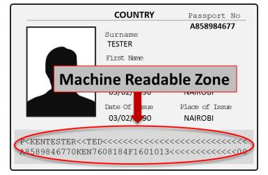 EXAMPLE 2.11 Select your Gender, Place/Country of Birth and Date of Birth. 2.12 Select the nearest embassy where you can obtain the Single Entry Visa (SEV).