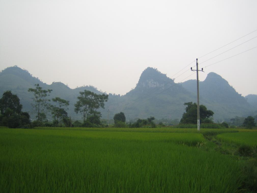 CHAPTER THREE A SOCIOECONOMIC PROFILE OF THE STUDY AREA Figure 3.1. The hills of Vo Nhai, Thai Nguyen Province, a remote mountainous district in the study area.