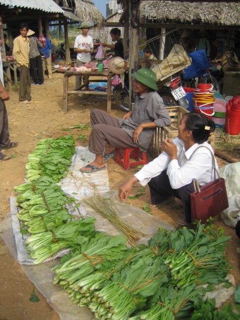 daily markets in Dinh Ca or in the center of Trang Xa Commune. Phuong Giao Commune, where Cluster A is located, does not have its own marketplace. Figure 3.5.