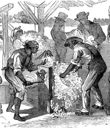 The Industrial North vs. the Agrarian South The plantation/ cash crop economy of the South was stimulated by the invention of the cotton gin by Eli Whitney in 1793.