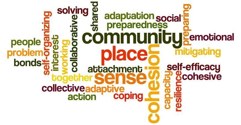 COMMUNITY COHESION Community Cohesion: Working towards a society in which there is a common vision and sense of belonging by all communities; a society in which the diversity of people's backgrounds