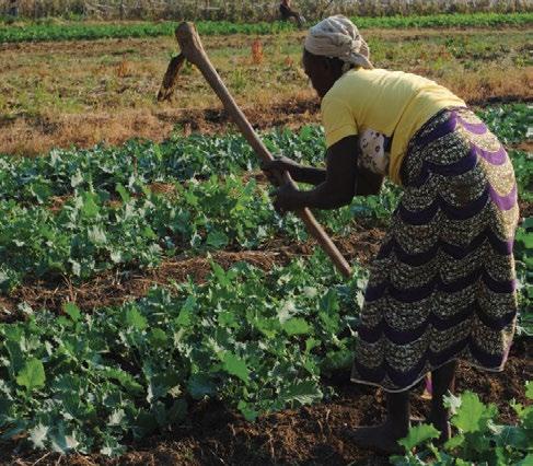 the Zambia Land Alliance (ZLA), a civil-society organisation (CSO) that advocates for land rights of poor and vulnerable communities. The research sought to understand: 1.