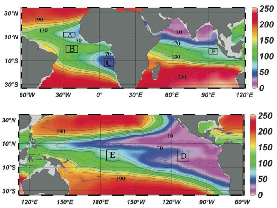 Climate change-induced OMZ expansion: Ø Oxygen-poor waters occupy large volumes of the intermediate-depth eastern tropical oceans and throughout the